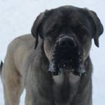 Steve Marcil - @marcilsteve - Instagram