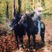 Steve Markley - Facebook