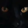 Marmaduke - @steve.webb42 - TikTok