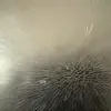 Steve Armor - @stevearmor245 - TikTok