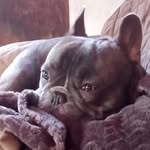 Steve Marnell - @steve.marnell - Instagram