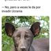 Steve Mars - Facebook