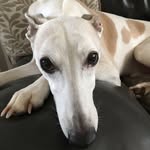 Steve marsh - @steve_marsh855 - Instagram