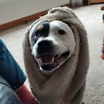 Steve Marshall - @steve.marshall35 - Instagram