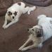 Steven Marsteller - Facebook