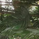 Steve Marten - @steve.marten.144 - Instagram