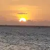 stevemartyniak4 - @stevemartyniak4 - TikTok