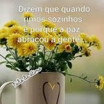 Maria Aparecida Nunes Fernandes Nunes - @stevemarx092cida - Instagram