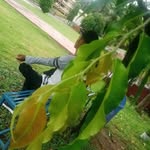 $𝓽𝓮𝓿𝓮 - @steve_marz3 - Instagram