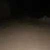 Steve Mateo - @steve08697 - TikTok