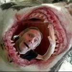 Steve Matheson - @steve_matheson23 - Instagram