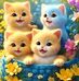 Steve Mathew - Facebook