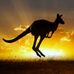 Steve Mathewson - Facebook