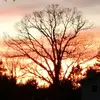 STEVE MATHISON - @steve.mathison5 - TikTok