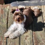 Steve Matos - @that_dude_steve_4986 - Instagram