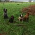 Steve Kelly - Facebook