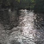 Steve Matta - @stevematta - Instagram