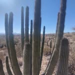 Steven Grant Matteson - @steve_matteson - Instagram