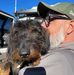 Steve Mattei - Facebook