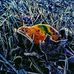 Steven Mattern - Facebook