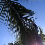 Steve Matyas - @smmatyas - Instagram