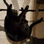 Steve Maurer - @steve_otb_ - Instagram