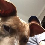 Steve Maurer - @steve.maurer.568 - Instagram
