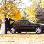 Steve Maurer - @steve.maurer.5855 - Instagram