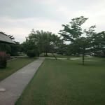 Steve Maurice - @steve.maurice.79677 - Instagram