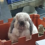 Steve Maurice - @essehm - Instagram