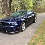 Steve Mauro - @stevem14526 - Instagram