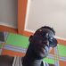 Mayor Steve - Facebook
