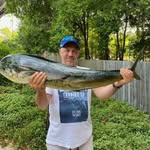 Steve Mayor - @steve.mayor.5015 - Instagram