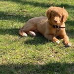 Steve McClelland - @mcclelland3265 - Instagram