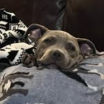 Steve McElroy - @mcelroy8705 - Instagram