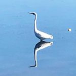 Steve Mcgarvey - @steve.mcgarvey - Instagram