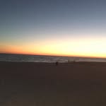 Steve McGehee - @steve.mcgehee - Instagram