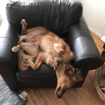 Steve McGehee - @smcgehee1 - Instagram
