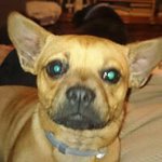 Steve Mcgeorge - @stevemcgeorge - Instagram