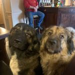 Steve McHugh - @mchugh591 - Instagram