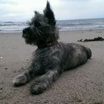 Steve McIntosh - @stevemcintosh1967 - Instagram