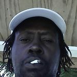 steve mckenzie - @stevemckenzie9 - Instagram