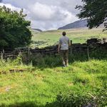 Steve Mckenzie - @stevemckenzie65 - Instagram
