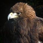 Steve McLellan - @mel1of4 - Instagram
