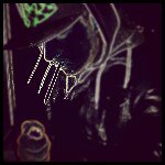 steve McNeill - @sutivu - Instagram