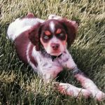 Steve Meadows - @steve.meadows.794 - Instagram