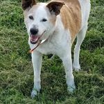 Steve Meadows - @steve_meadows_55_ - Instagram