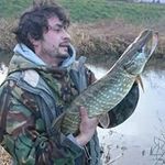 Steve Meadows - @meadows.steve - Instagram