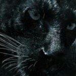 Steve Means - @iamlight1111 - Instagram
