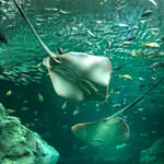 Steve Medlin - @steve__medlin - Instagram